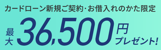 カードローン_新規契約・借入プログラム